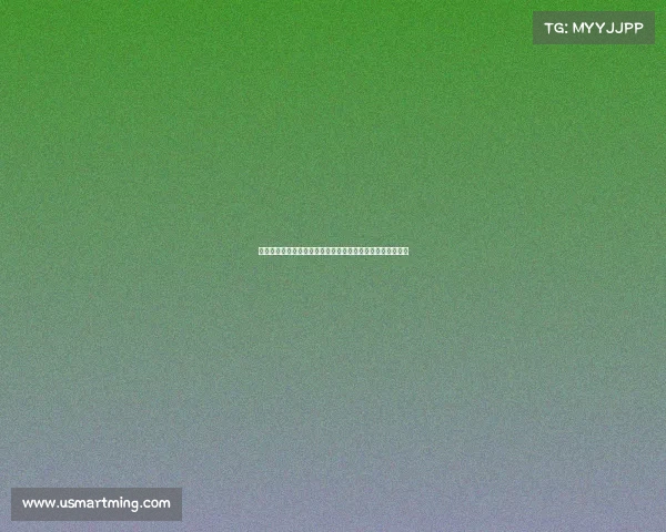 自由搏击世界舞台国际顶级锦标赛盛大开启高手激战精彩纷呈